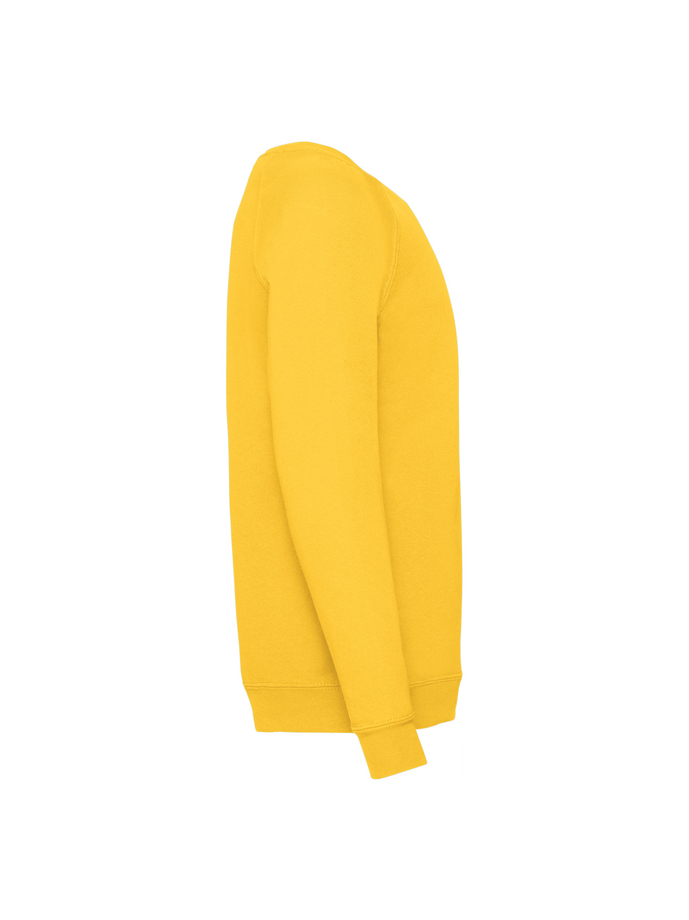 Vanity Fair Lingerie KIDS CLASSIC RAGLAN SWEAT Sunflower 7