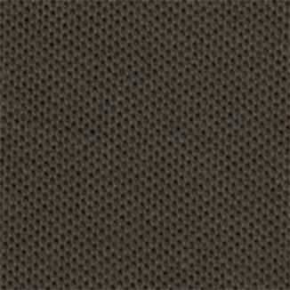 Charcoal swatch image