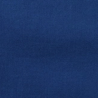 Bright Royal swatch image